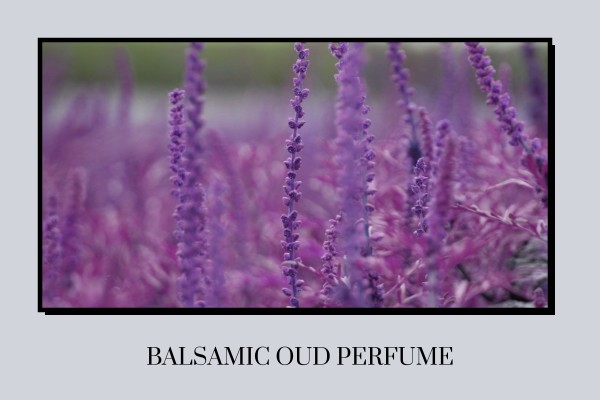 balsamic oud perfume