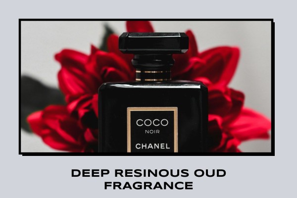 deep resinous oud fragrance