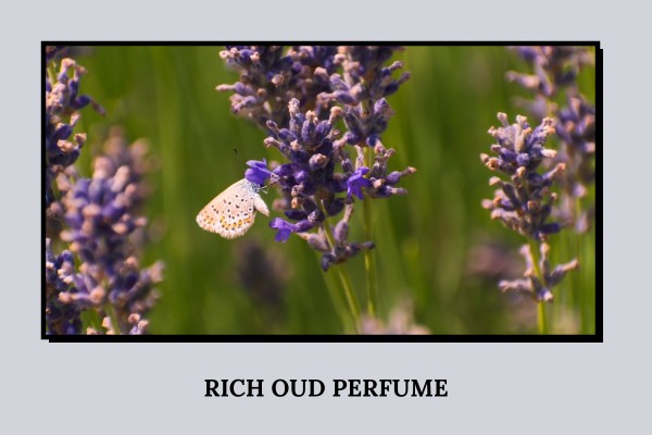 rich oud perfume