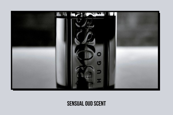 sensual oud scent