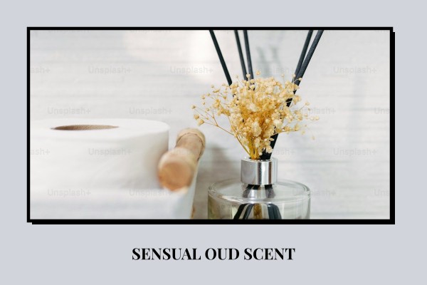 sensual oud scent