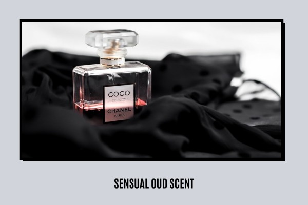 sensual oud scent