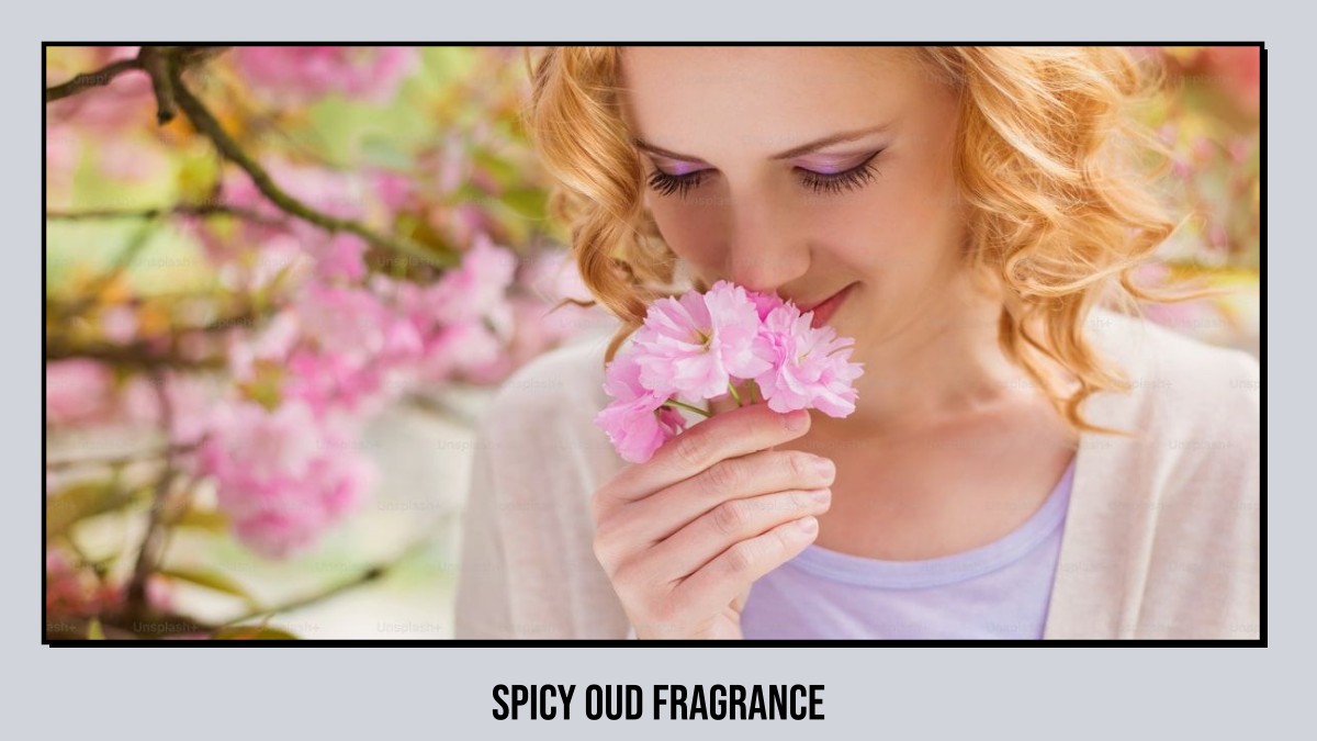 spicy oud fragrance