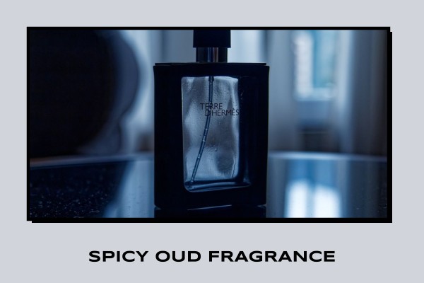 spicy oud fragrance